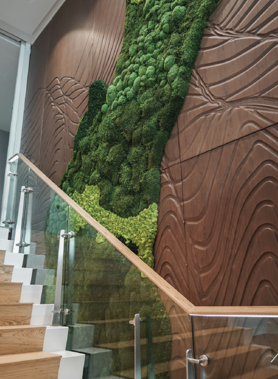 ONEWOOD Timber Cladding