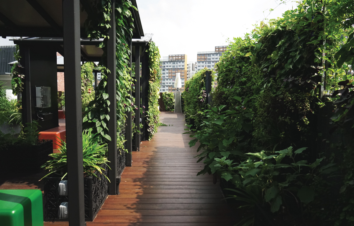 Onewood Decking at Educational Institute Rooftop Ecogarden