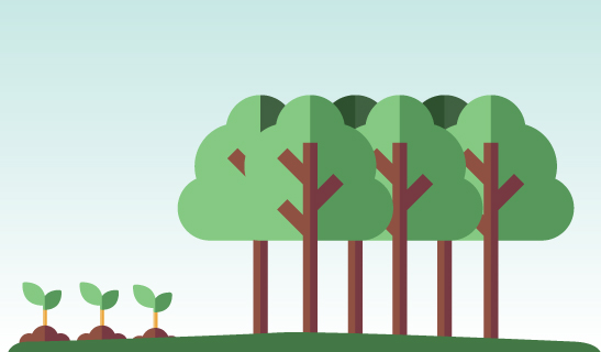 ONEWOOD Sustainability