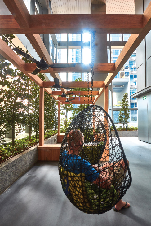 Onewood Timber Trellis Structure