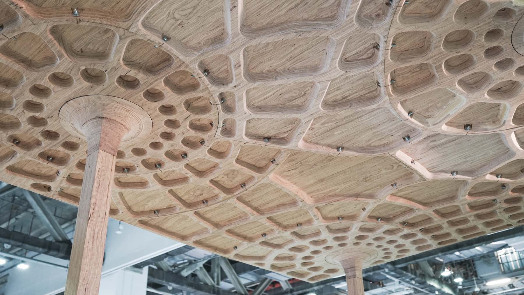Onewood Structural Timber Pavilion