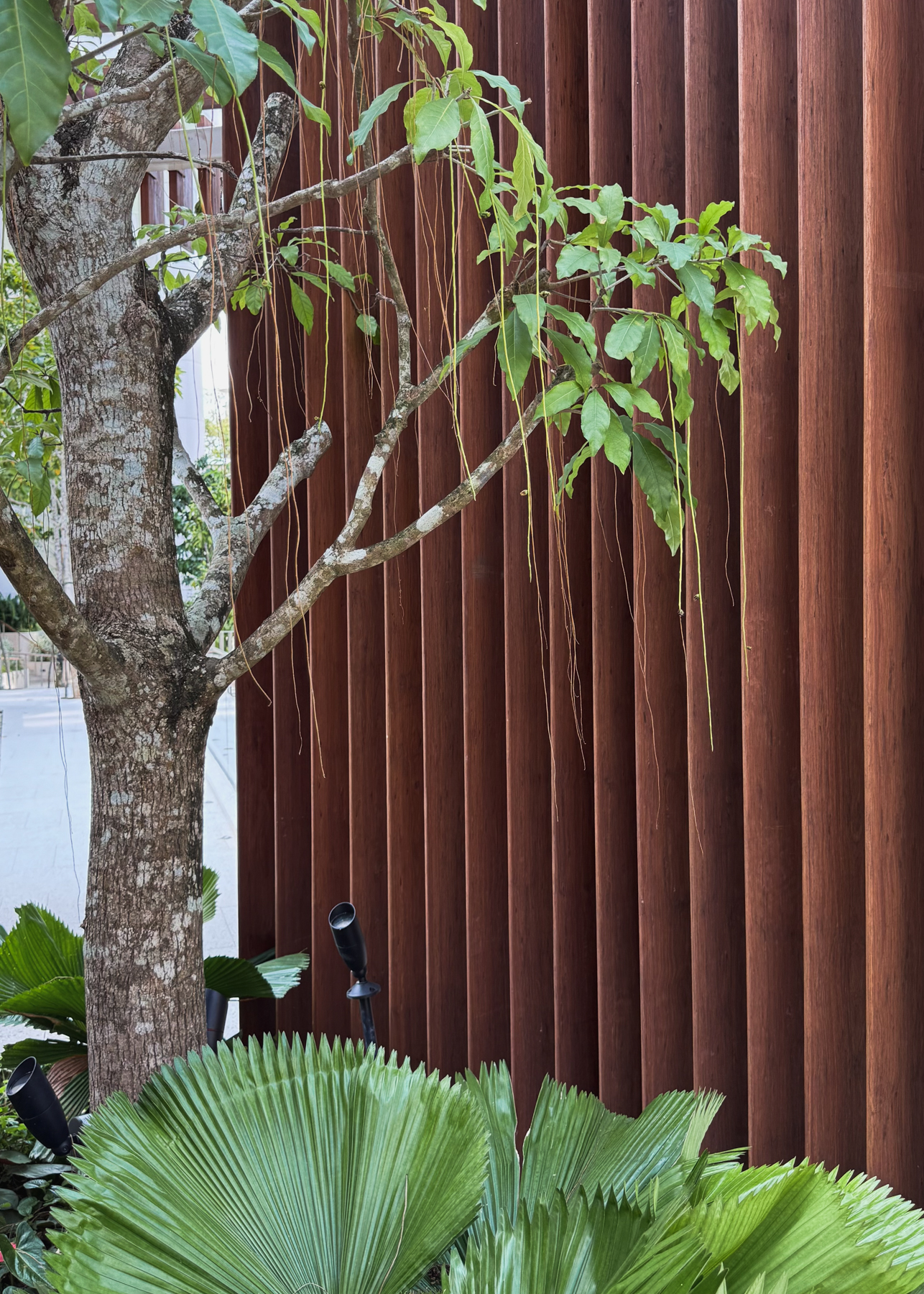 ONEWOOD Timber Fins and Timber Trellis