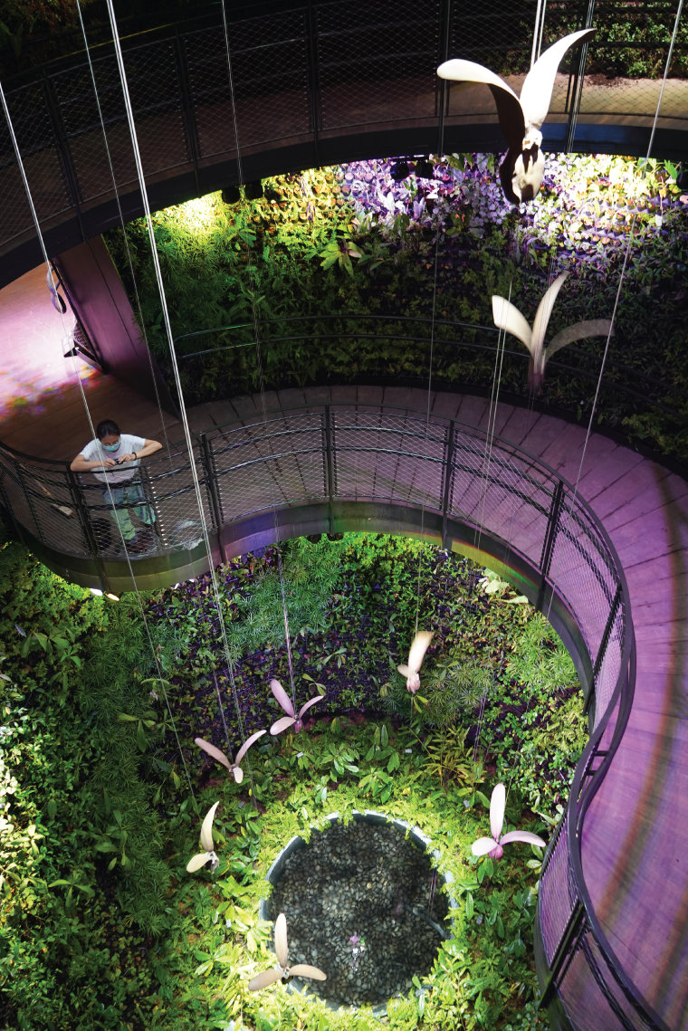 Onewood Singapore Expo 2020 Dubai