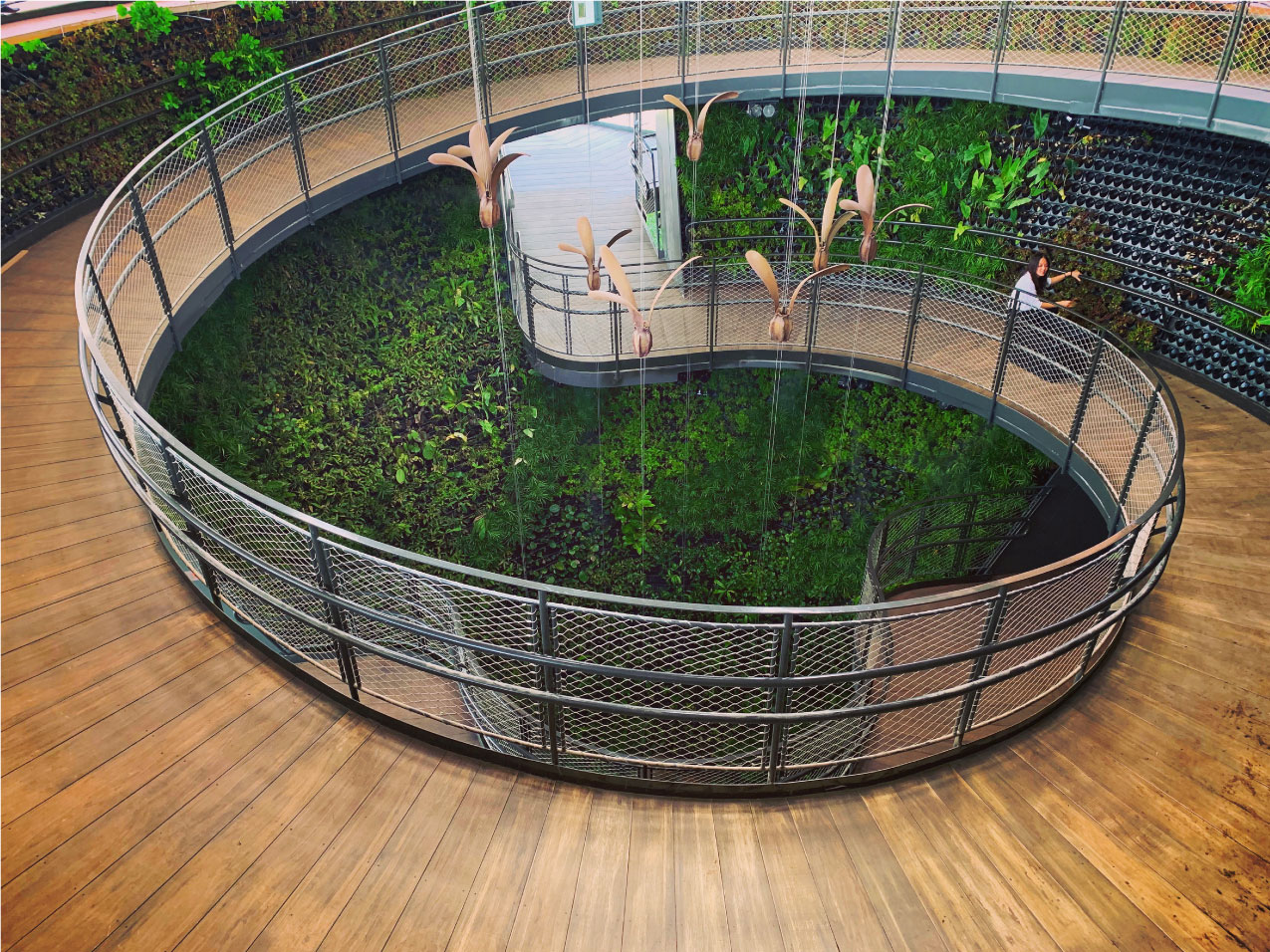 Onewood at Singapore Pavilion Expo 2020 Dubai